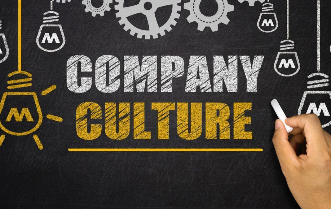 Company culture - the engine of productivity