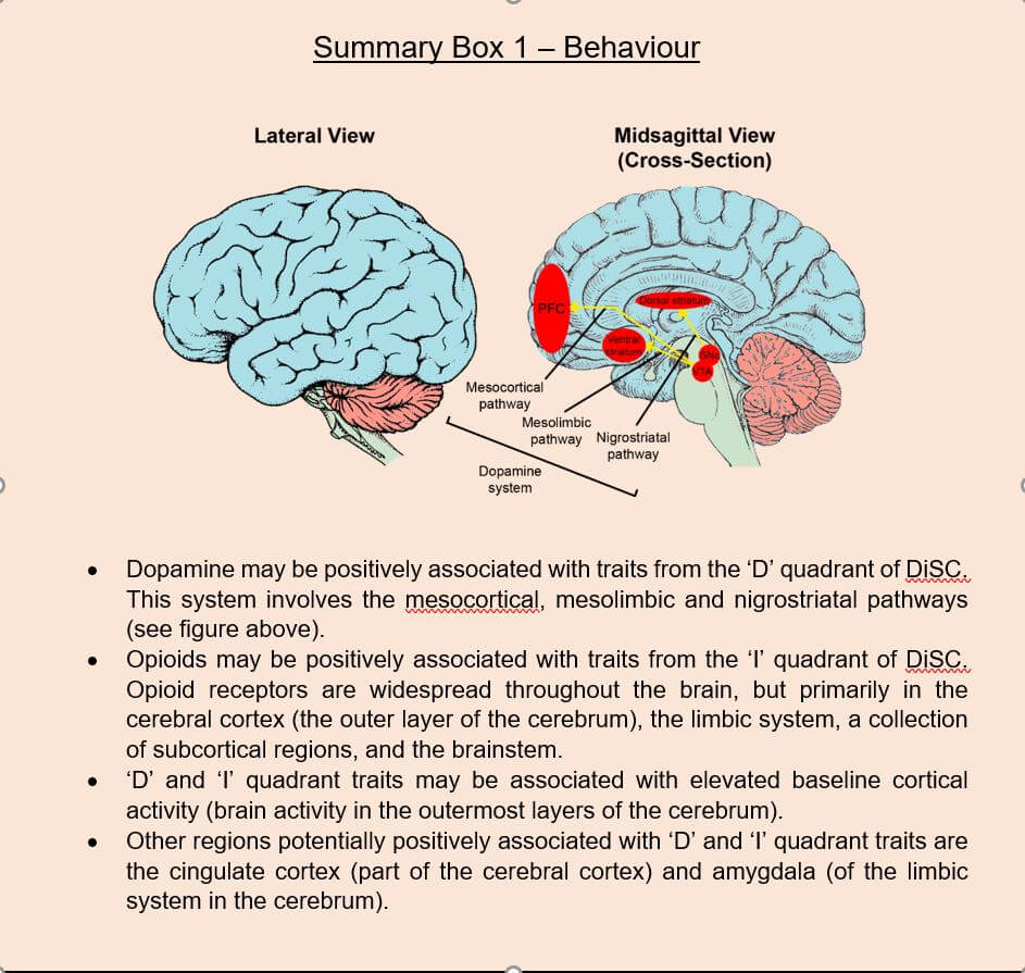 Brain regions linked to psychometrics